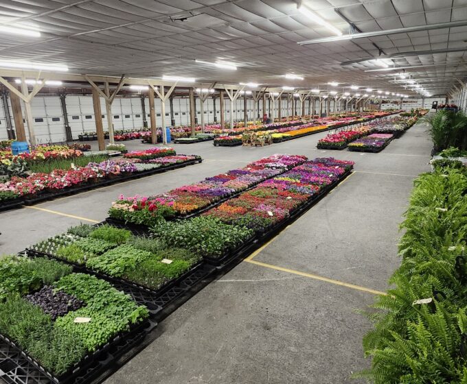 Home Cumberland Valley Produce Auction